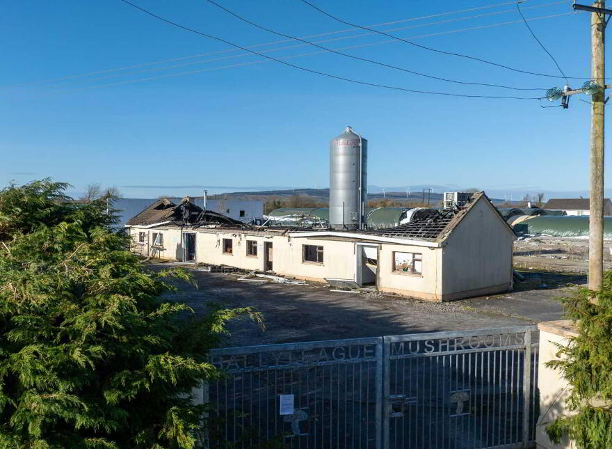 Strokestown Road, Ballyleague, Lanesborough, N39F592