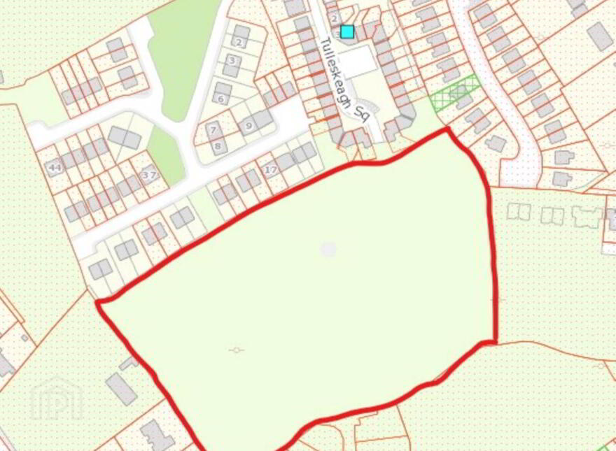 Development Site, At Tullaskeagh, Tullaskeagh, Roscrea