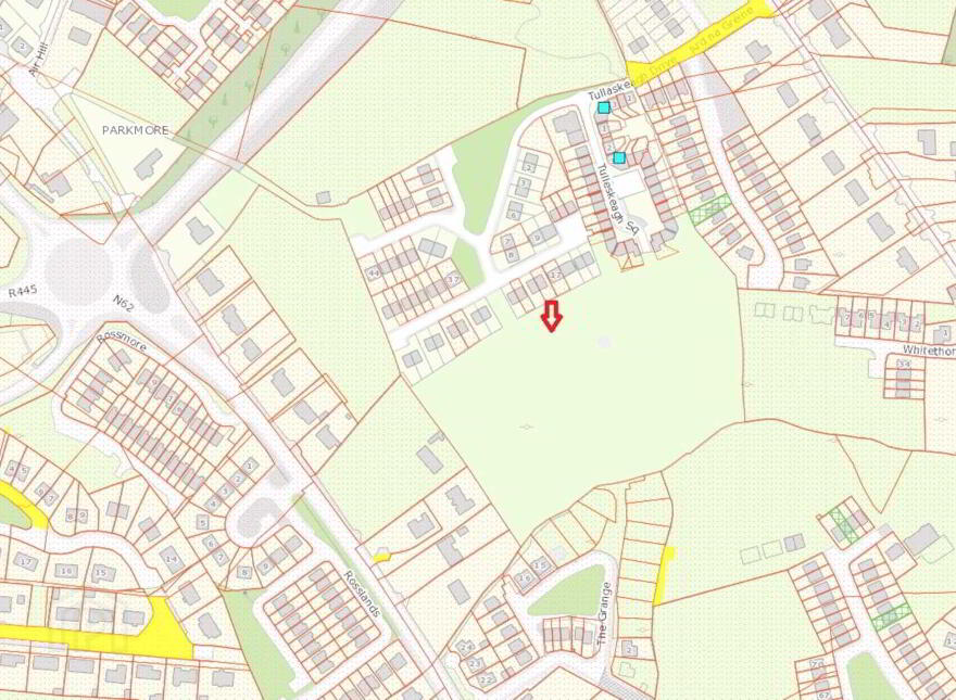 Development Site, At Tullaskeagh, Tullaskeagh, Roscrea