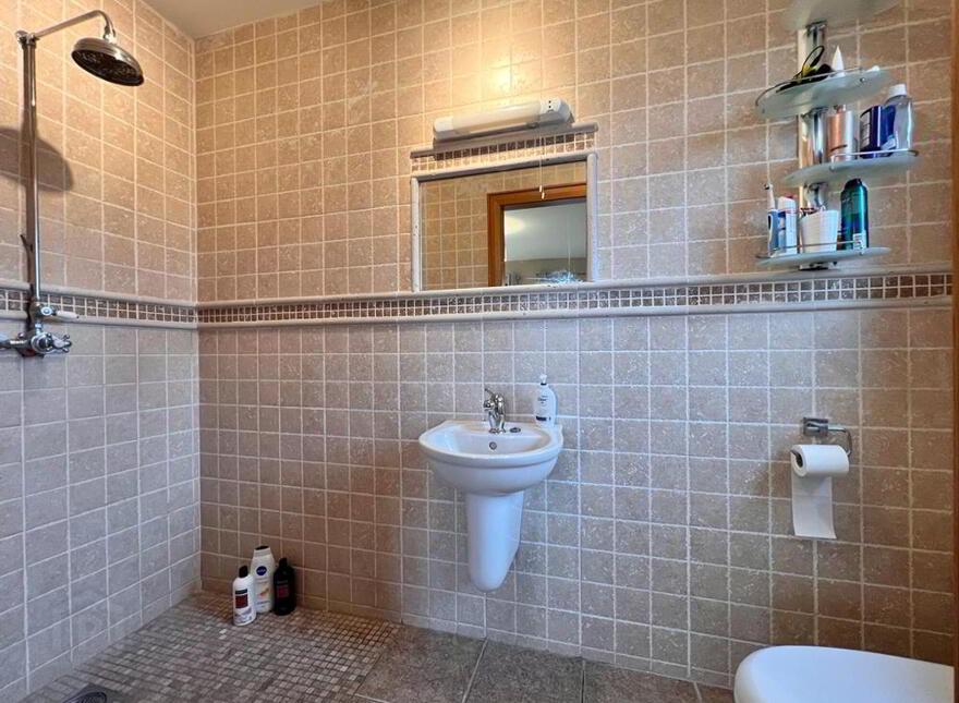 20a Tirgan Road, Moneymore, Magherafelt, BT45 7RZ