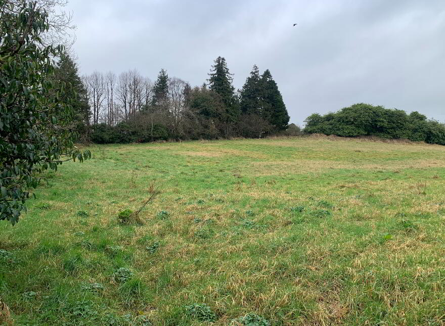 Approx 6 Acres Beside Sporting Grounds, Ballymena Road, Antrim, BT41 4NY
