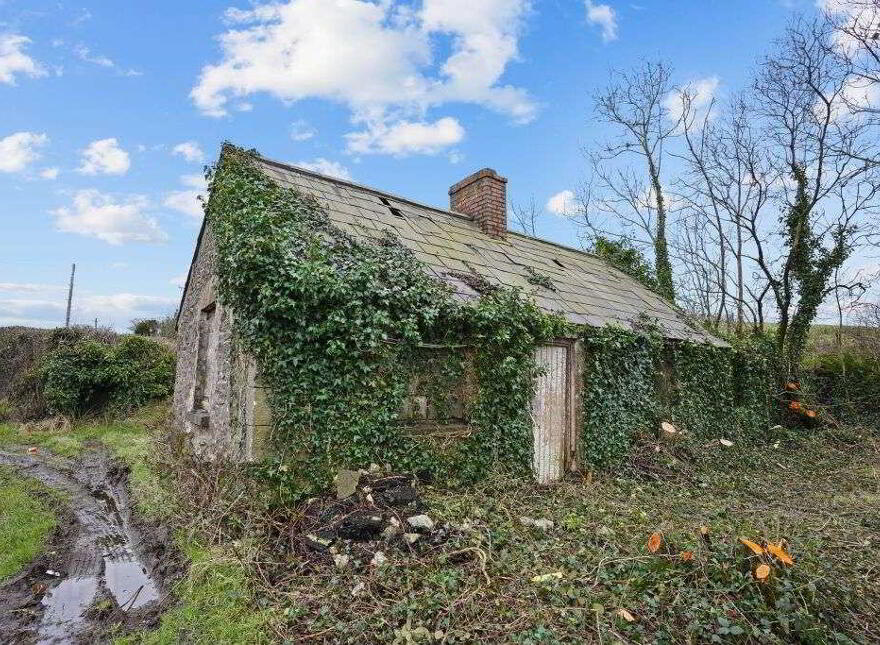 Gartnaneane, Bailieborough