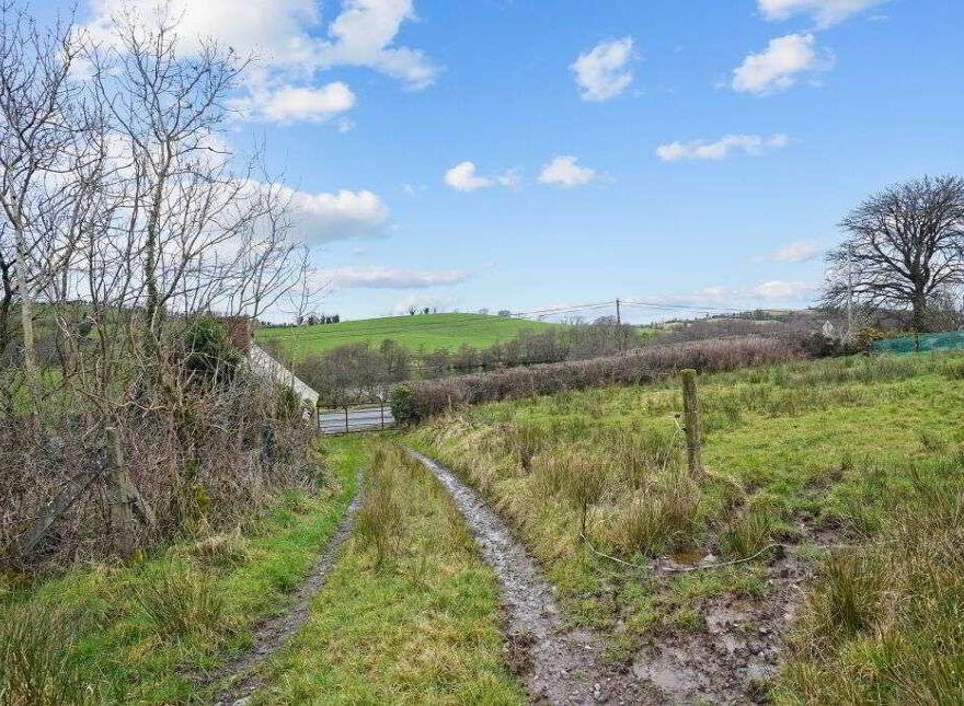 Gartnaneane, Bailieborough