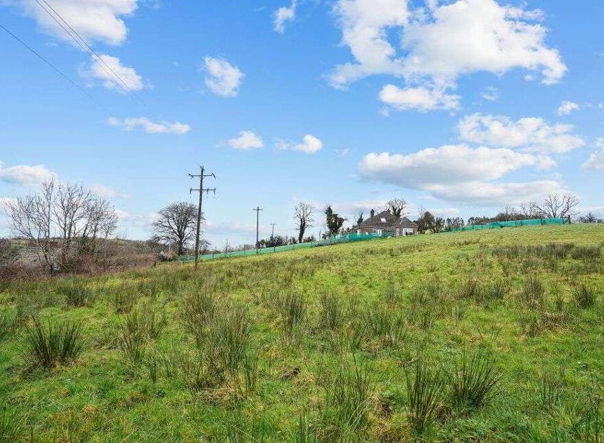 Gartnaneane, Bailieborough