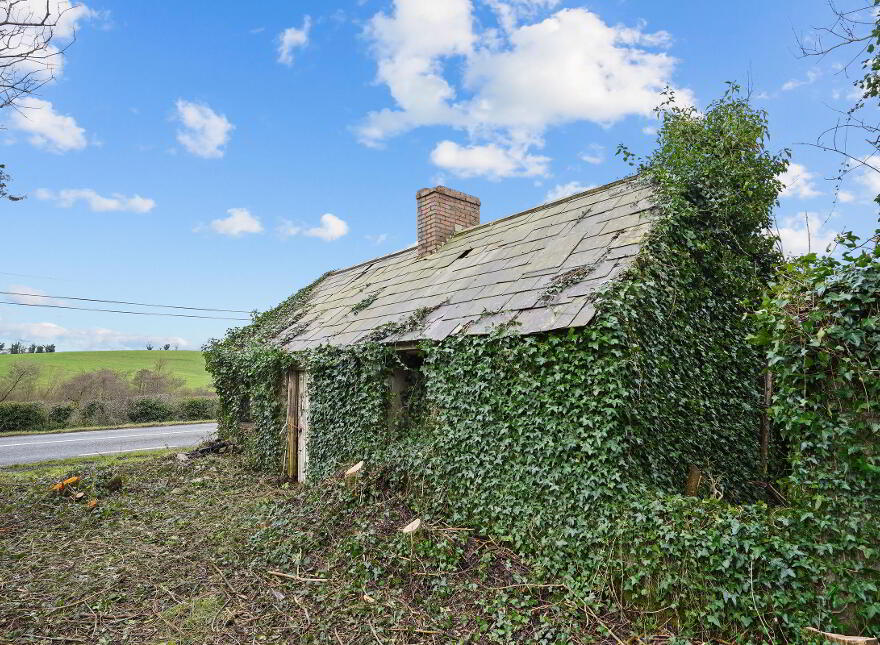 Gartnaneane, Bailieborough