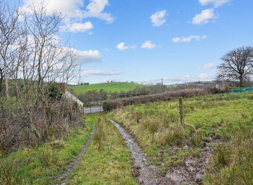 Gartnaneane, Bailieborough