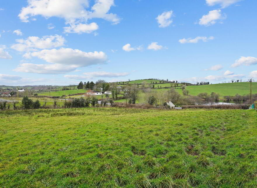 Gartnaneane, Bailieborough