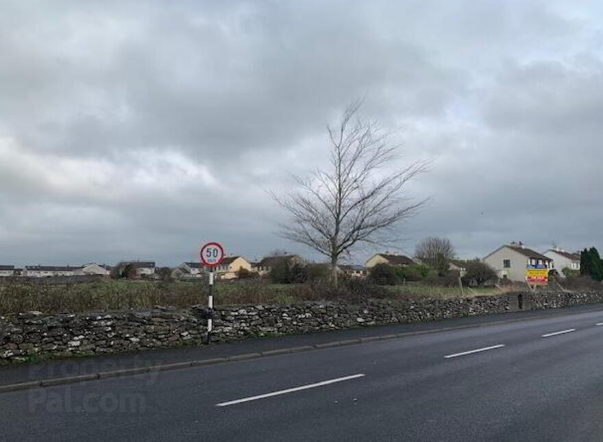 Shannon Road, Sixmilebridge, Clare photo