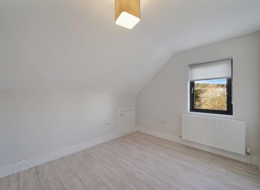House 1, Drumkeen