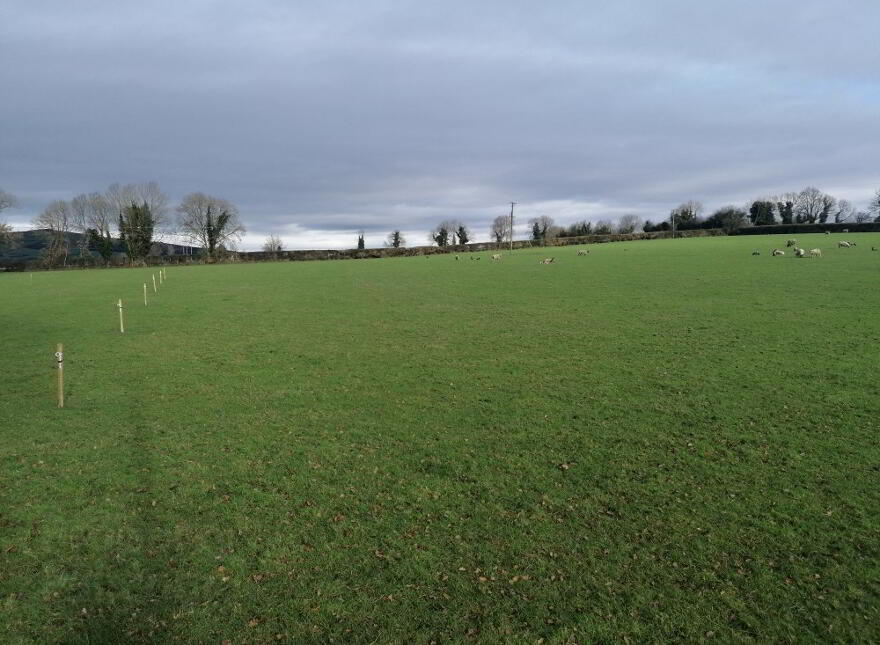 Mount Kelly, Rathvilly, Carlow photo