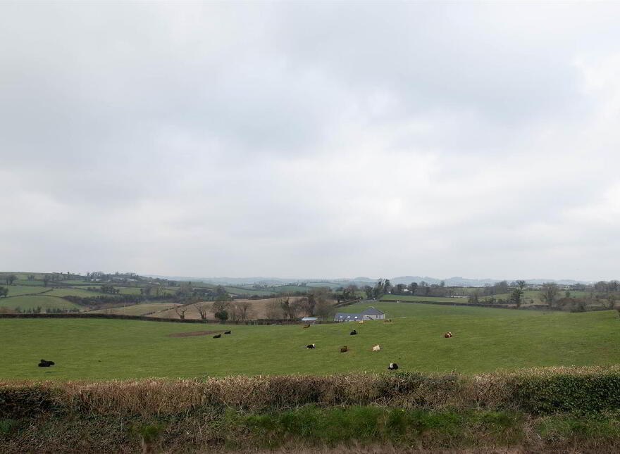 4 St. Tassachs Terrace, Raholp, Downpatrick, BT30 7JL