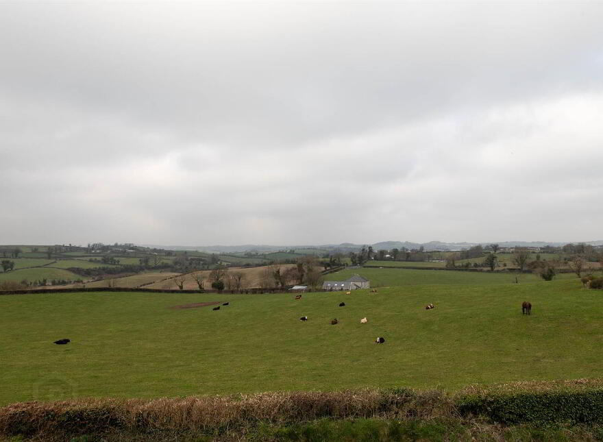 4 St. Tassachs Terrace, Raholp, Downpatrick, BT30 7JL