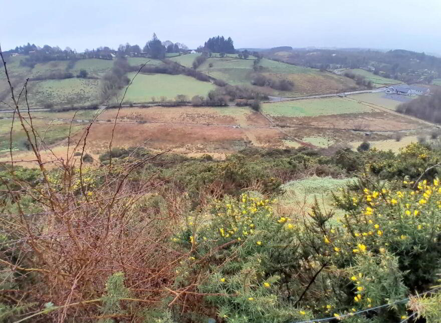 Barnacogue, Swinford