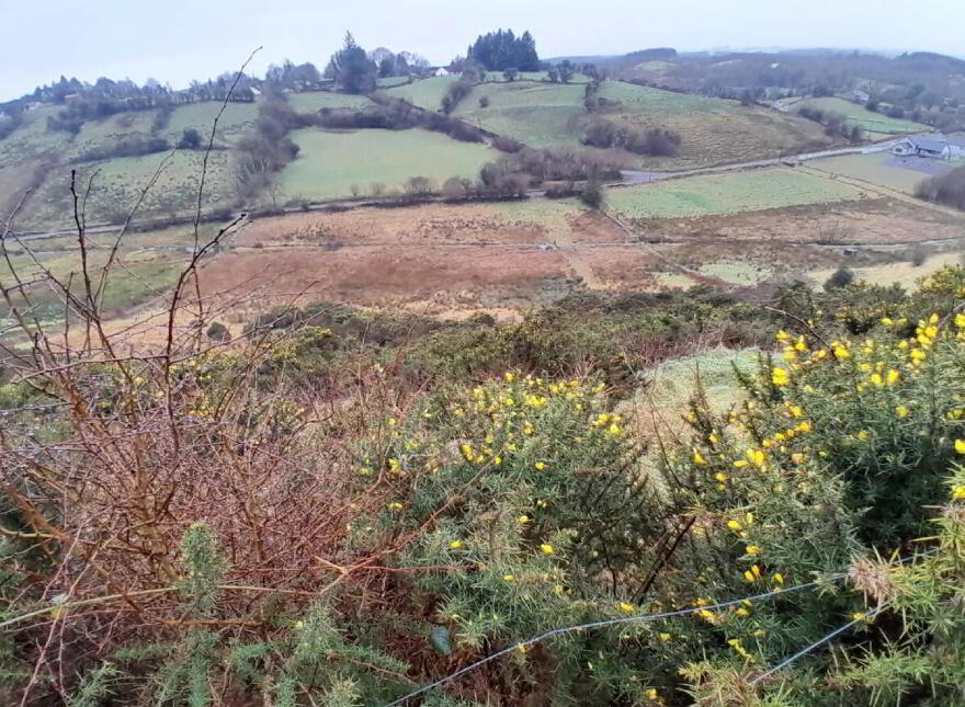 Barnacogue, Swinford