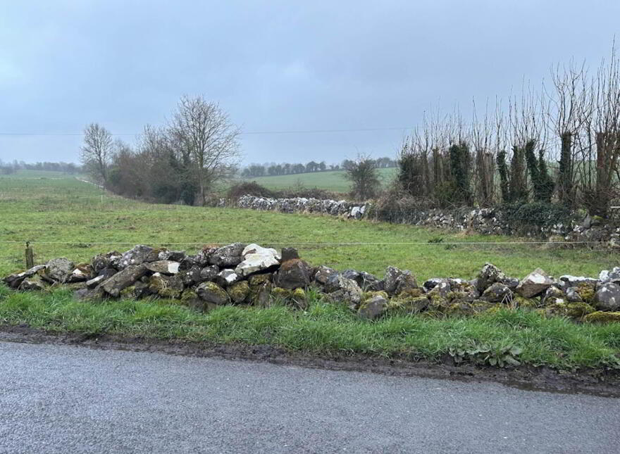 Ballingirlough, Bruff photo