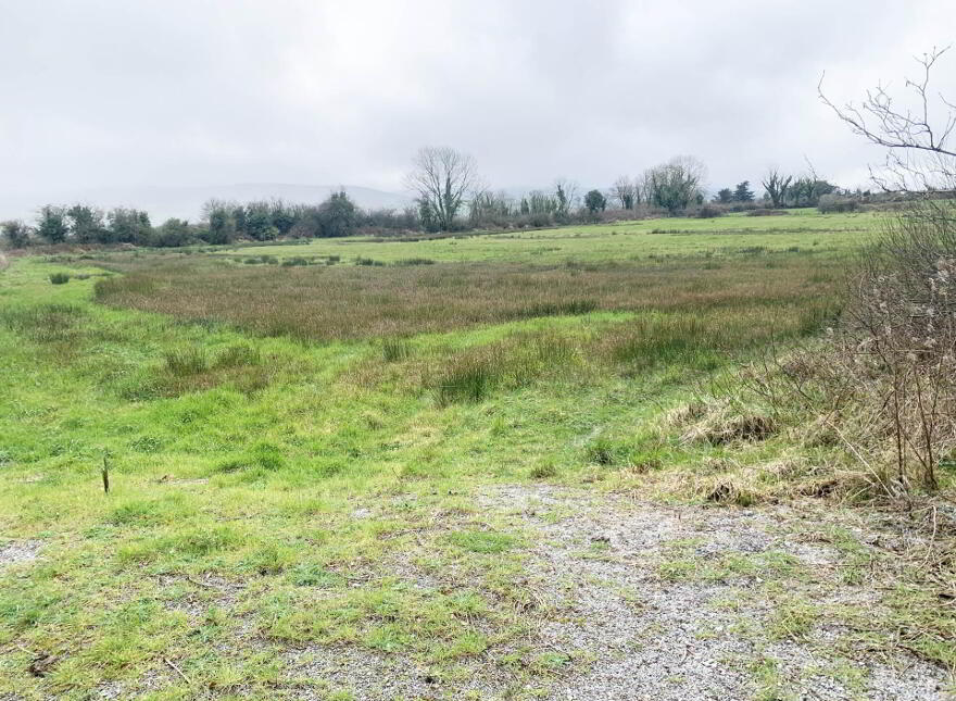 Ballinahown, Kilmallock