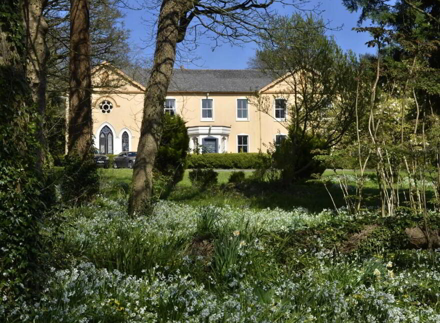 Carrigahilla House, Stradbally, X42A662