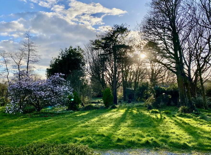 Carrigahilla House, Stradbally, X42A662