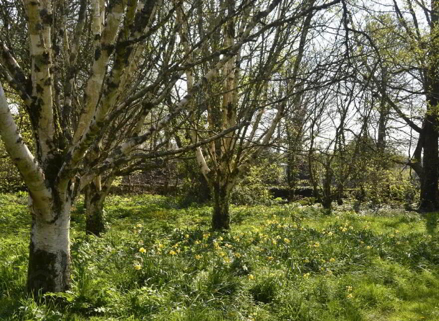 Carrigahilla House, Stradbally, X42A662