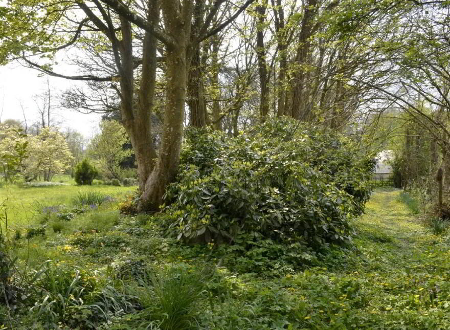 Carrigahilla House, Stradbally, X42A662