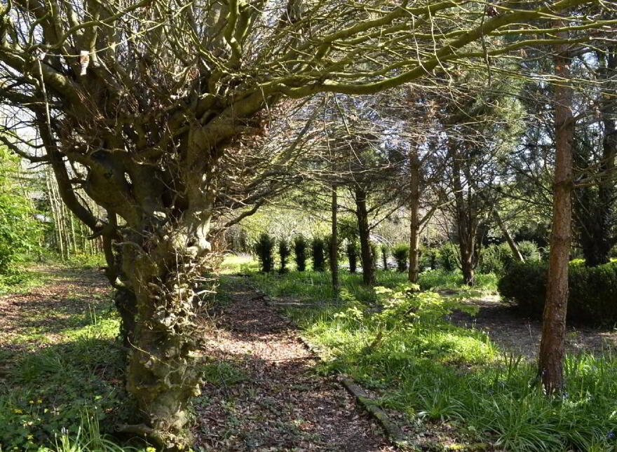 Carrigahilla House, Stradbally, X42A662