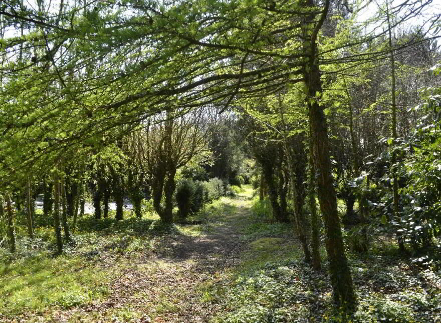 Carrigahilla House, Stradbally, X42A662