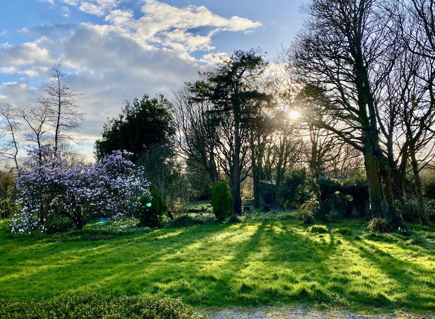 Carrigahilla House, Stradbally, X42A662