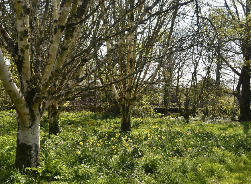 Carrigahilla House, Stradbally, X42A662