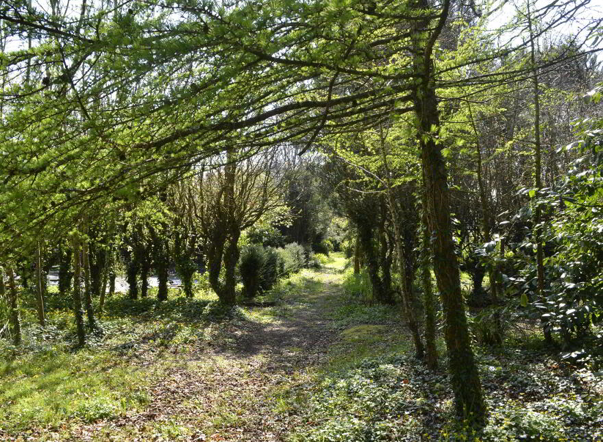 Carrigahilla House, Stradbally, X42A662