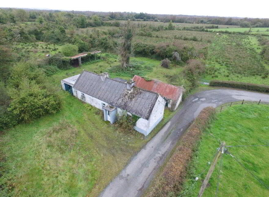 Cloonteagh, Newtownforbes, N39KX64 photo