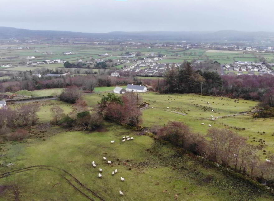 Woodtop, Carndonagh