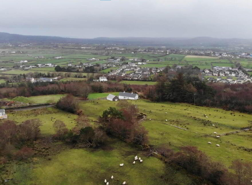 Woodtop, Carndonagh
