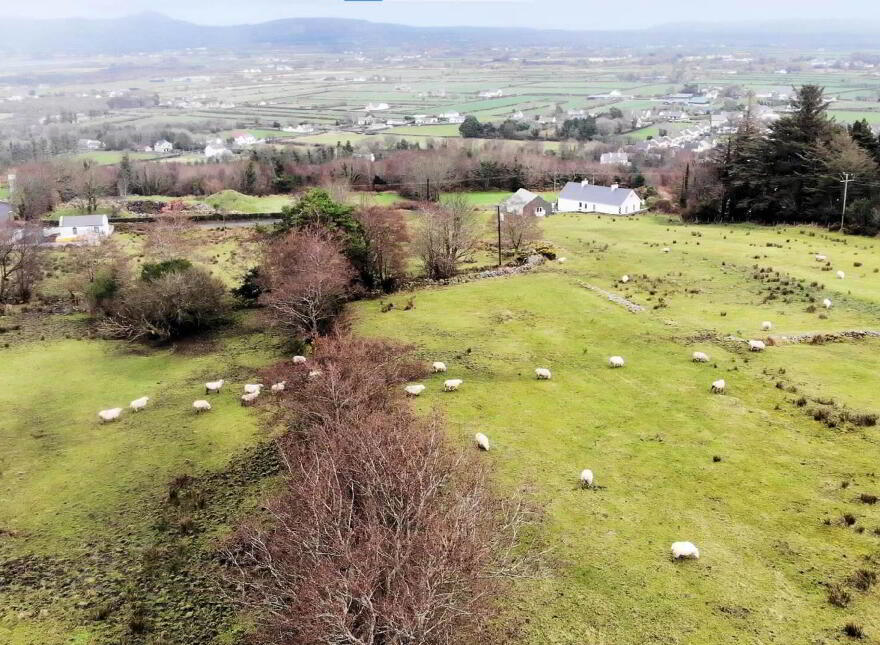 Woodtop, Carndonagh