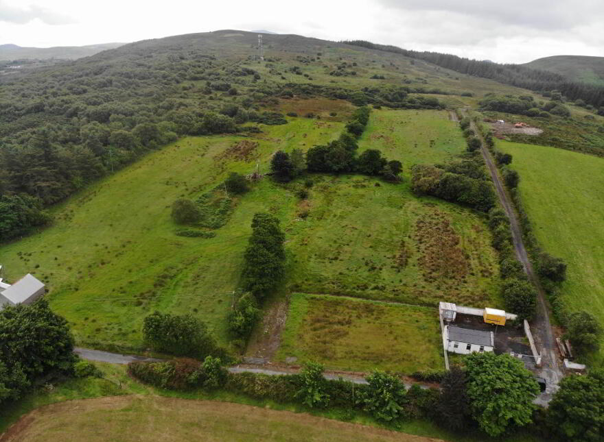 Woodtop, Carndonagh