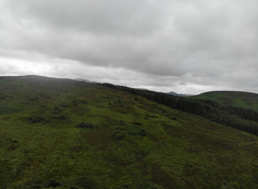 Woodtop, Carndonagh