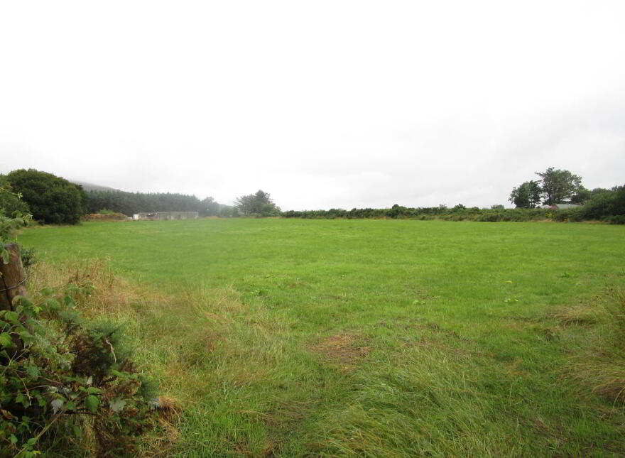 Woodtop, Carndonagh