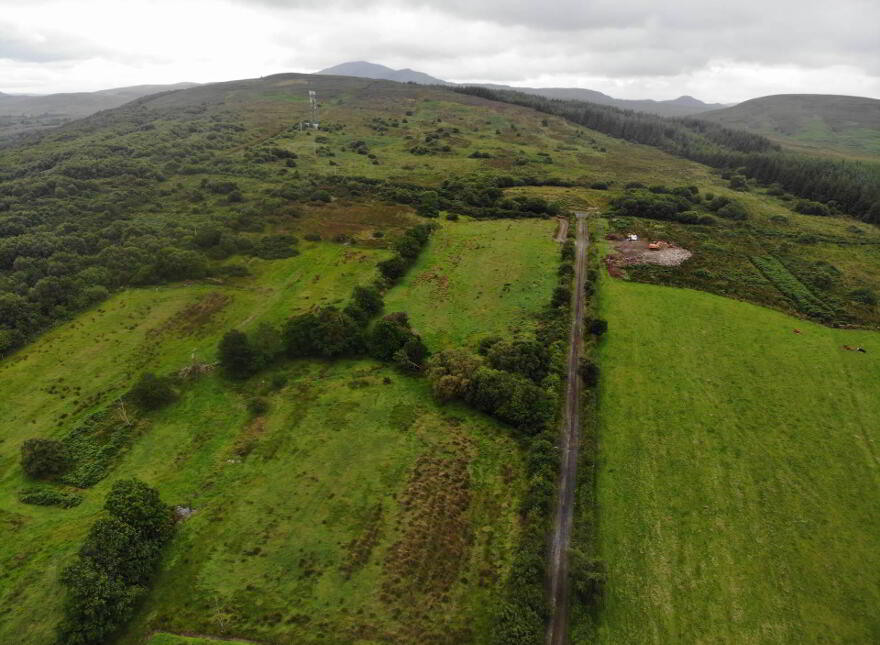 Woodtop, Carndonagh