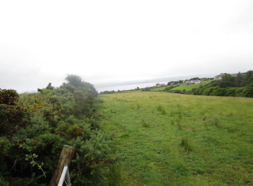 Woodtop, Carndonagh