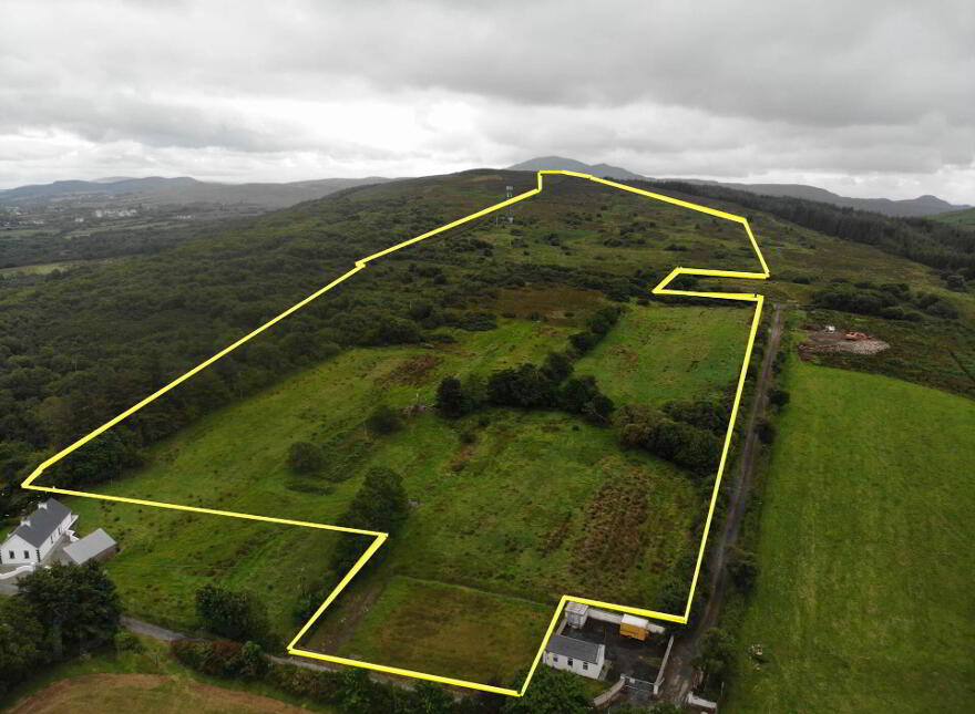 Woodtop, Carndonagh