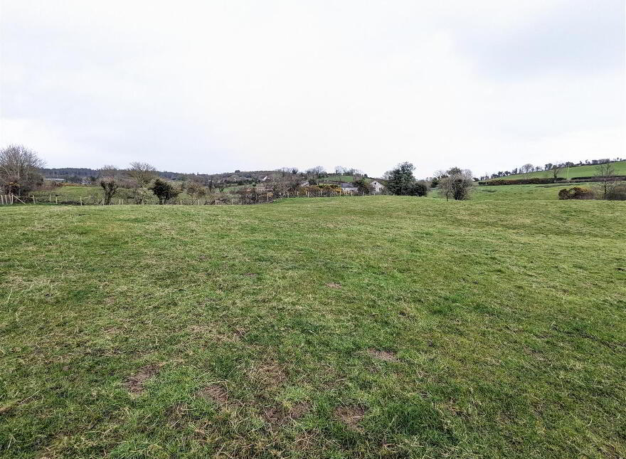 Agricultural Land, Newcastle Road, Seaforde, Downpatrick, BT30 photo