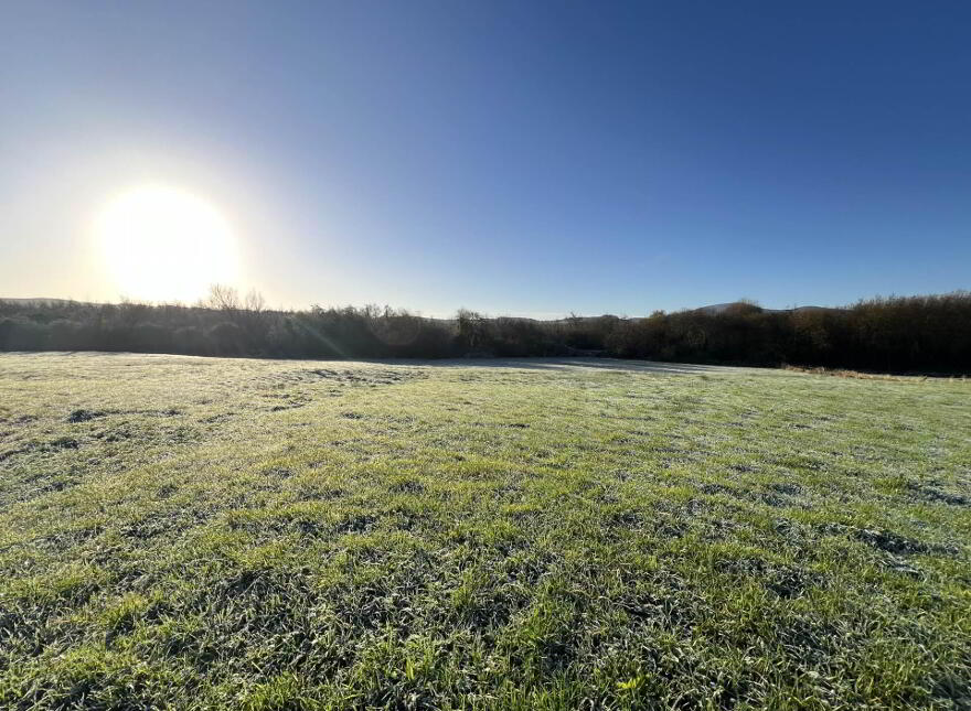 Ballylanigan, Mullinahone photo