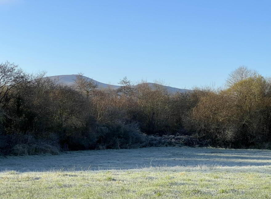 Ballylanigan, Mullinahone