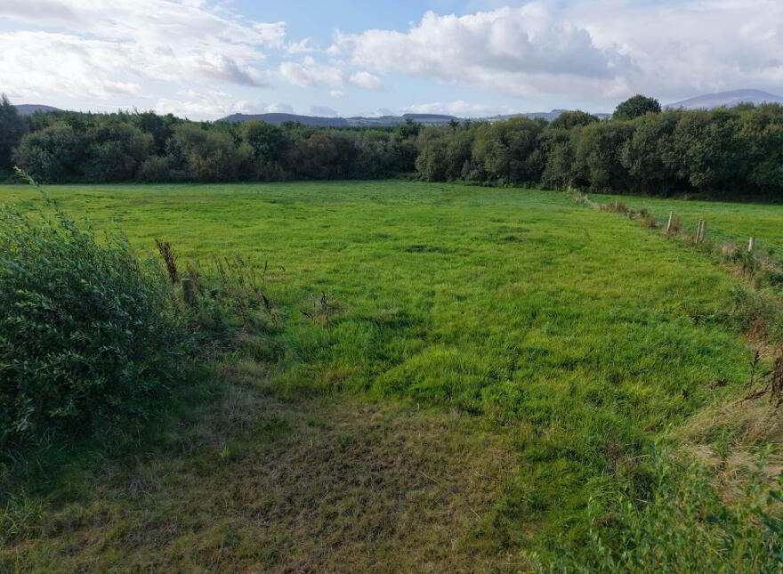 Ballylanigan, Mullinahone