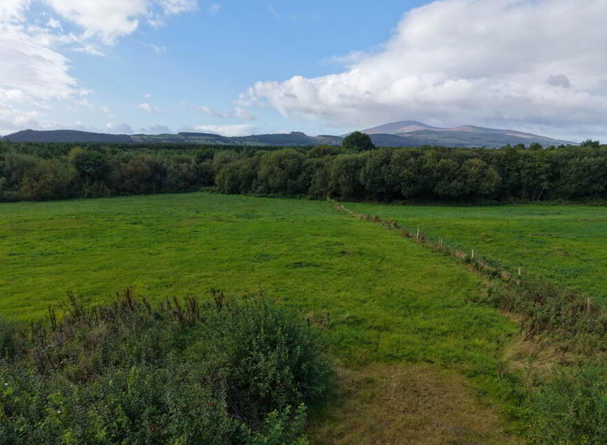 Ballylanigan, Mullinahone