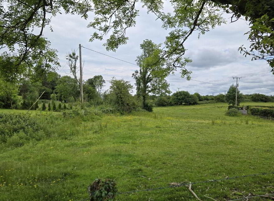 Le Carrow Killeen, Muckersaune, Neale photo