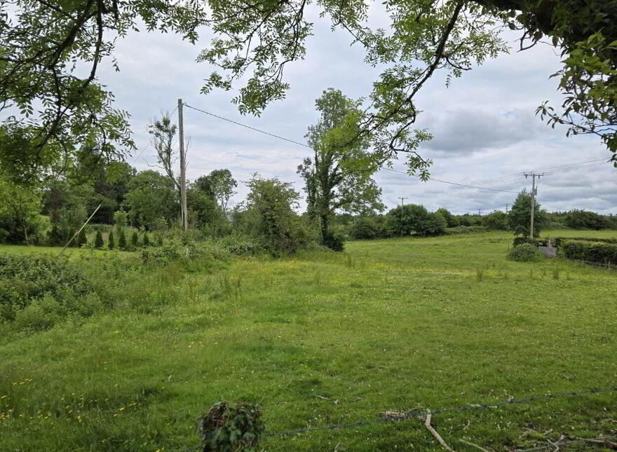 Le Carrow Killeen, Muckersaune, Neale photo