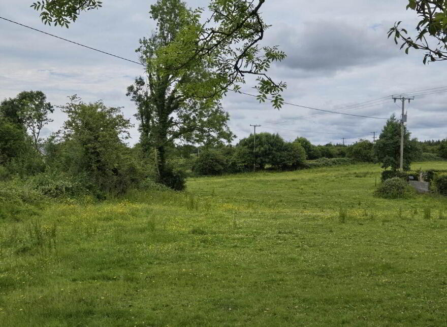 Le Carrow Killeen, Muckersaune, Neale