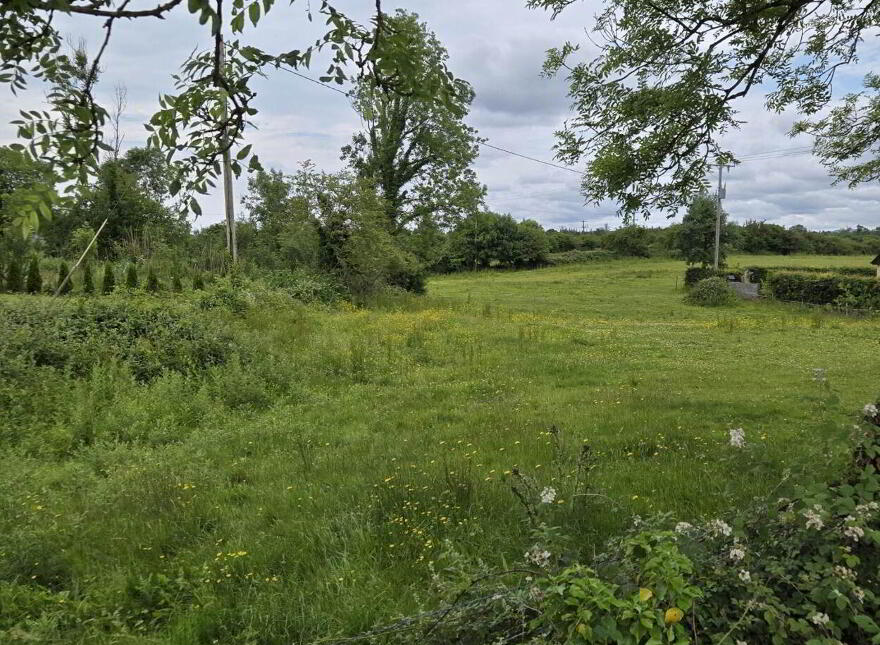 Le Carrow Killeen, Muckersaune, Neale