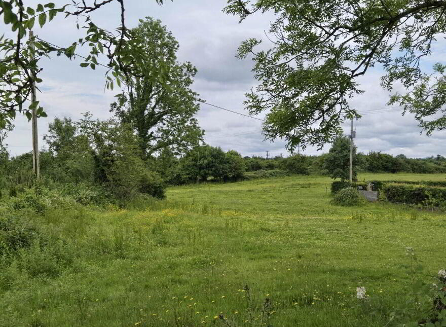 Le Carrow Killeen, Muckersaune, Neale