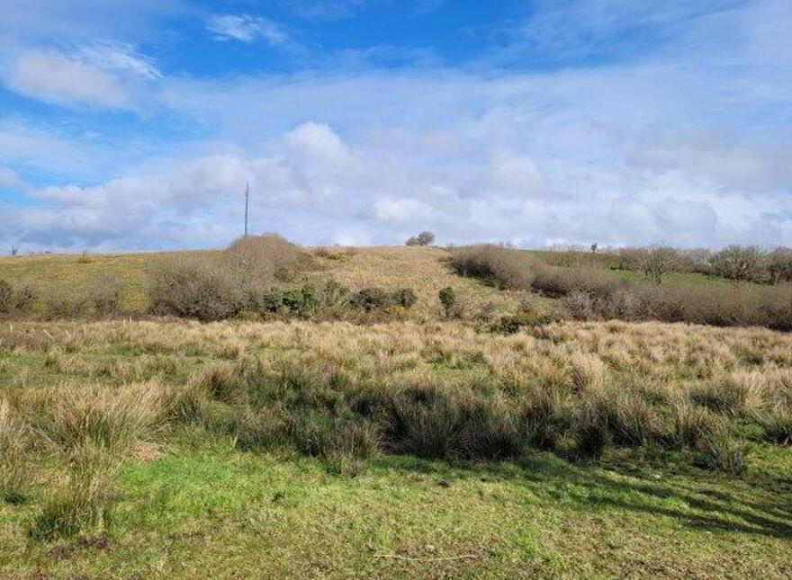 Bloomfield, Ballintogher